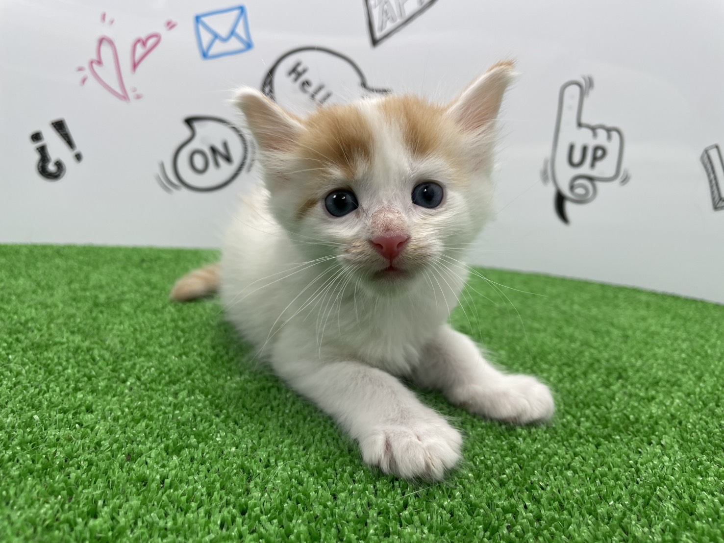 赤ちゃん写真2-2