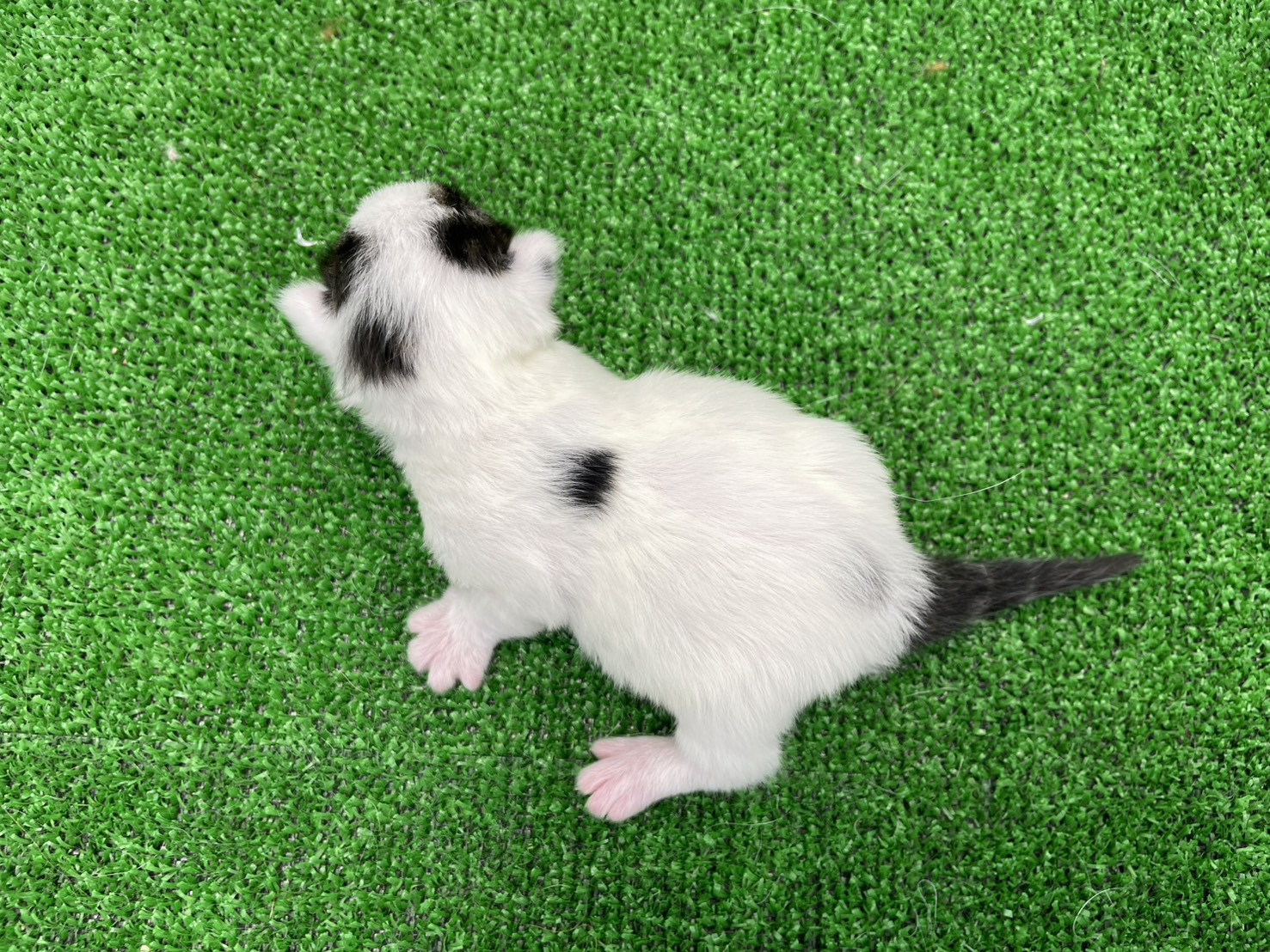 赤ちゃん写真1-3