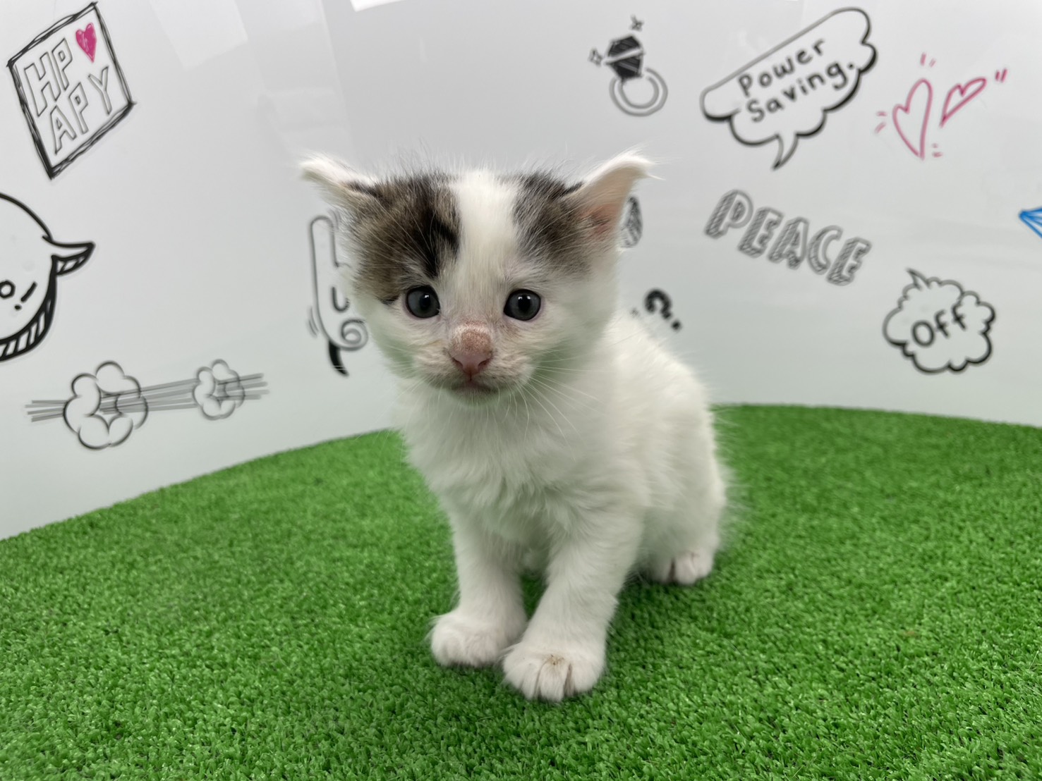 赤ちゃん写真2-1
