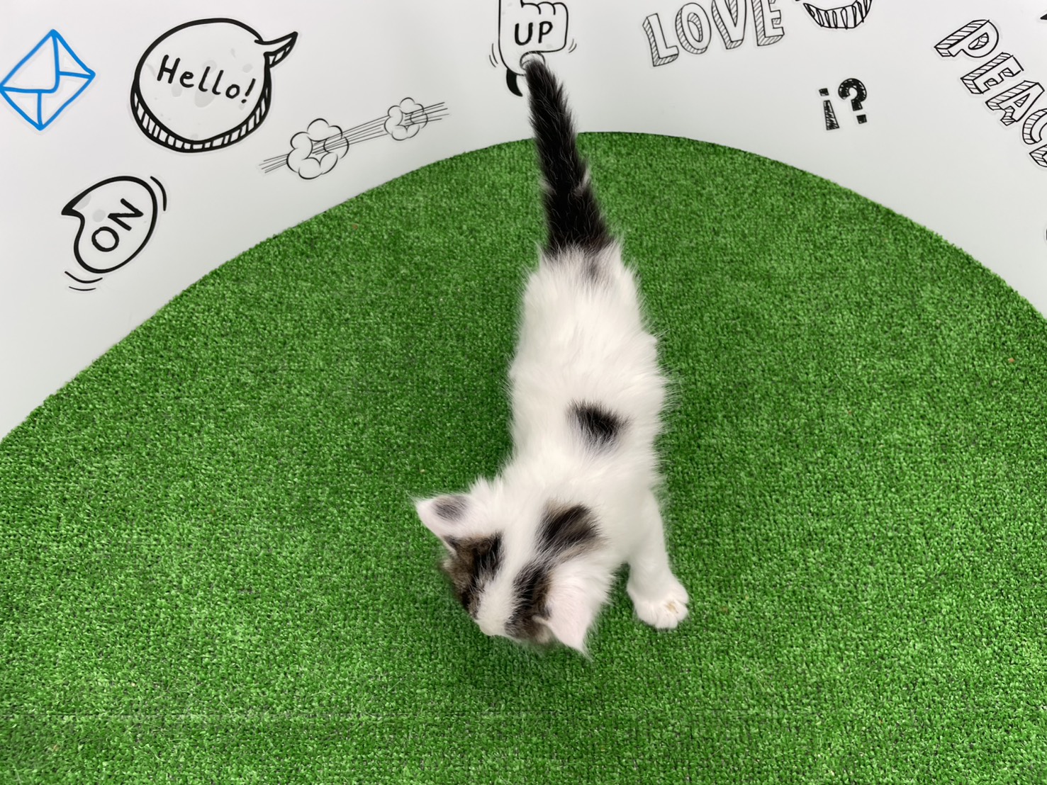 赤ちゃん写真2-3