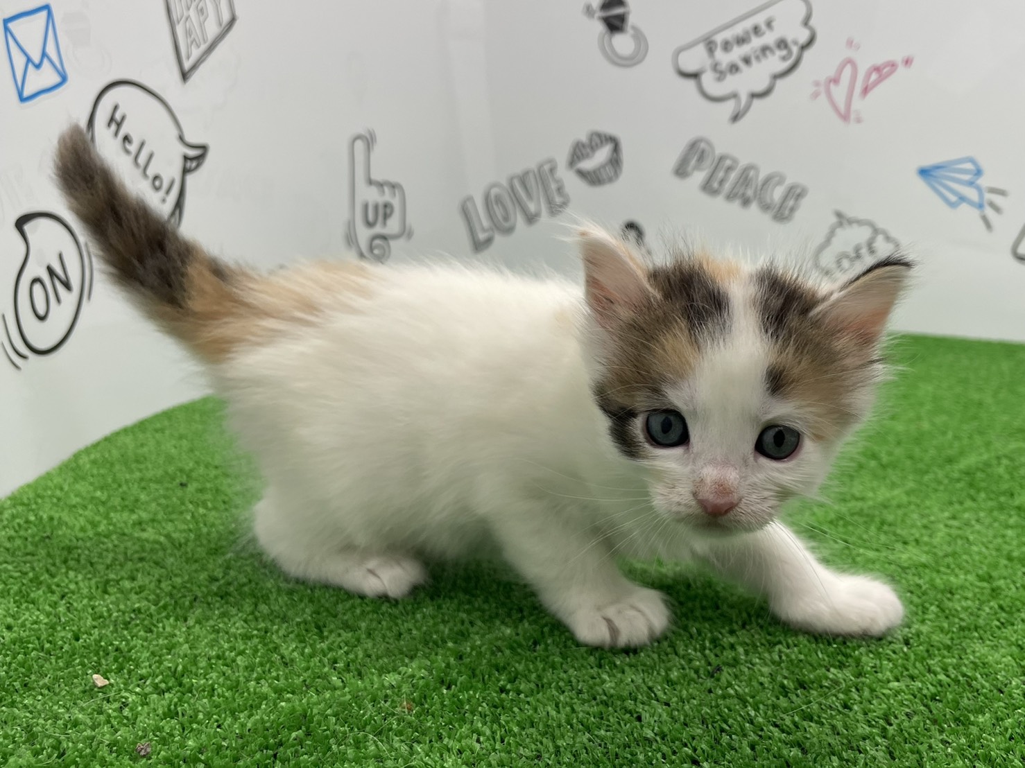 赤ちゃん写真2-2