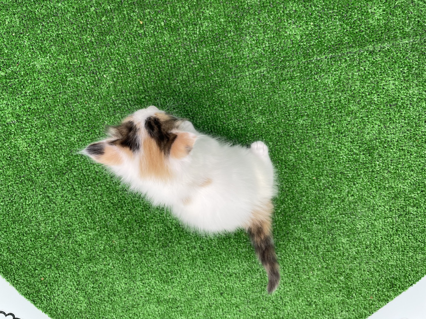 赤ちゃん写真2-3