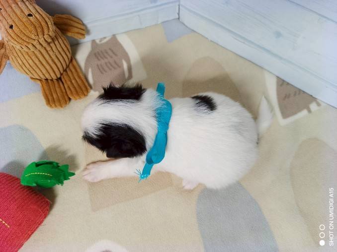 赤ちゃん写真2-3