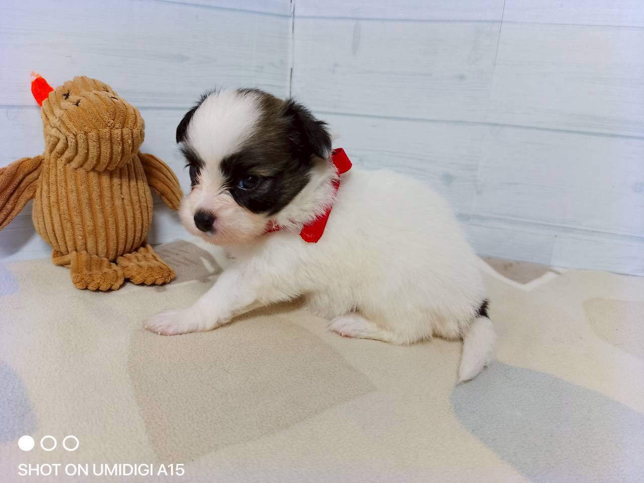 赤ちゃん写真2-2