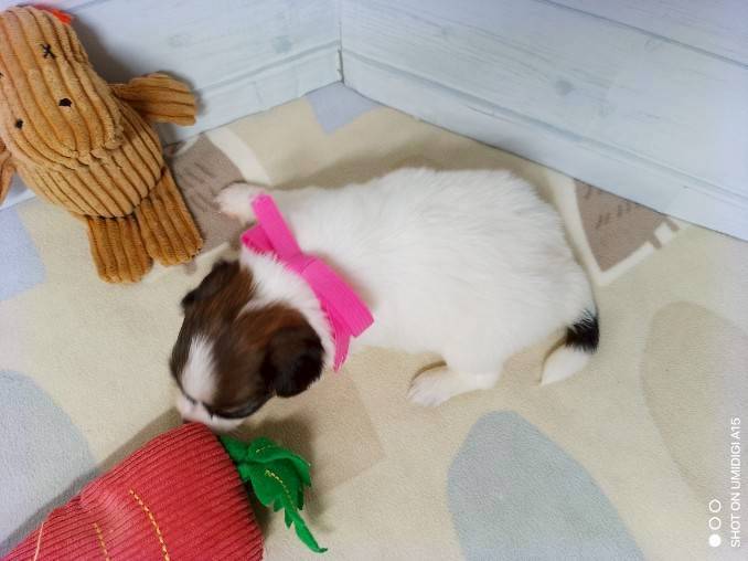 赤ちゃん写真2-3