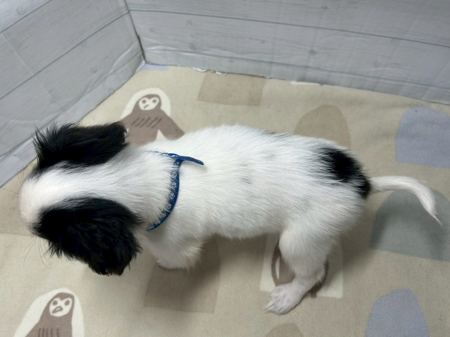 赤ちゃん写真3-3