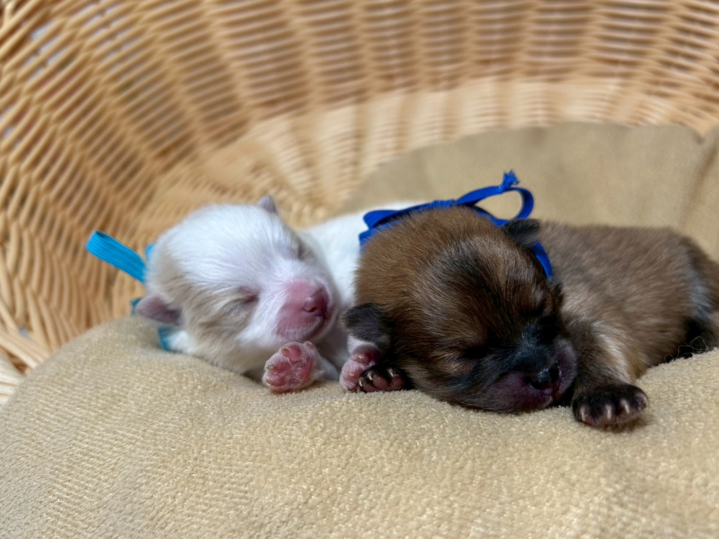赤ちゃん写真1-3