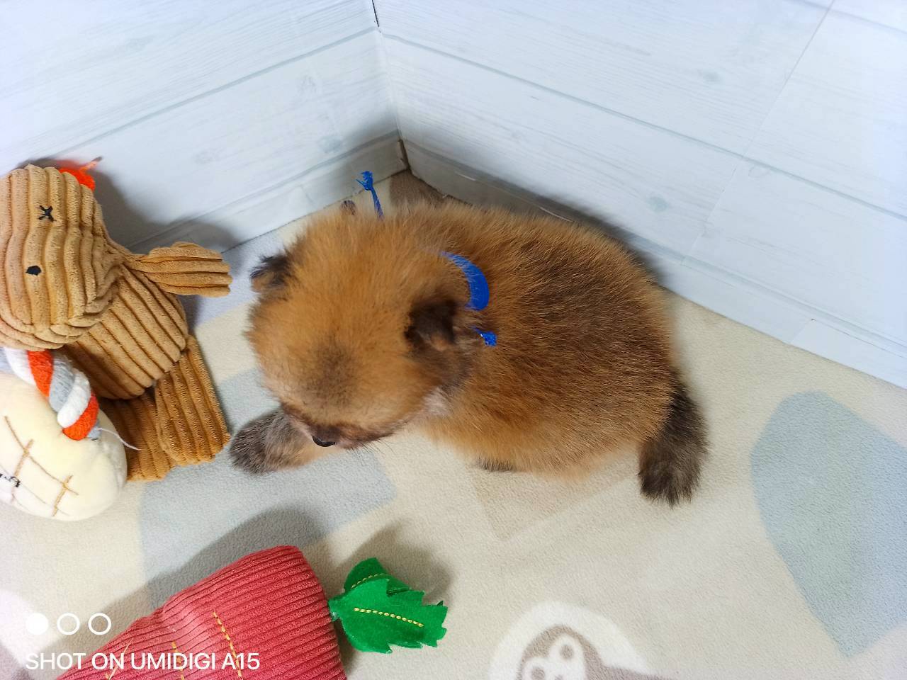赤ちゃん写真2-3