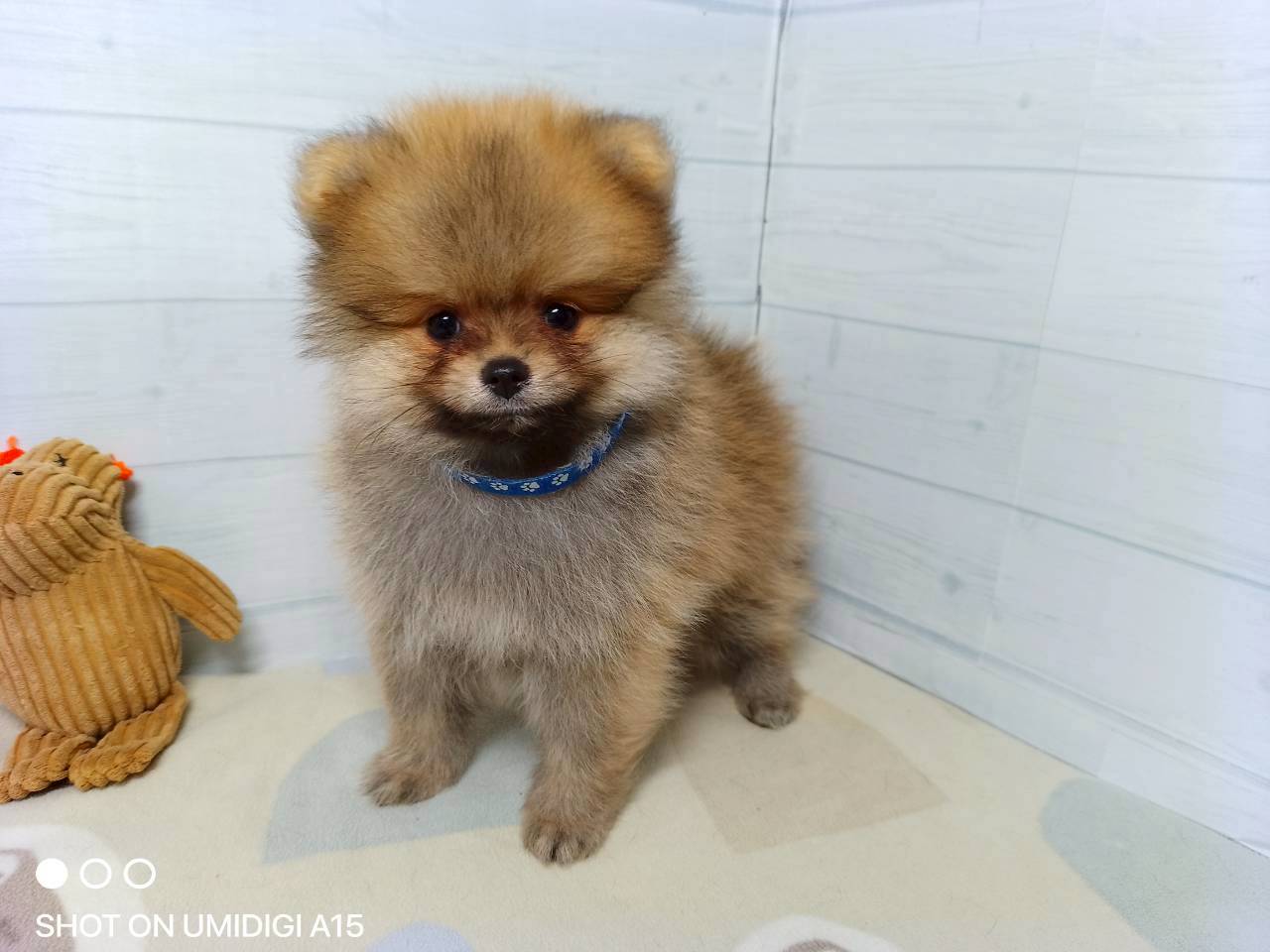 赤ちゃん写真3-1