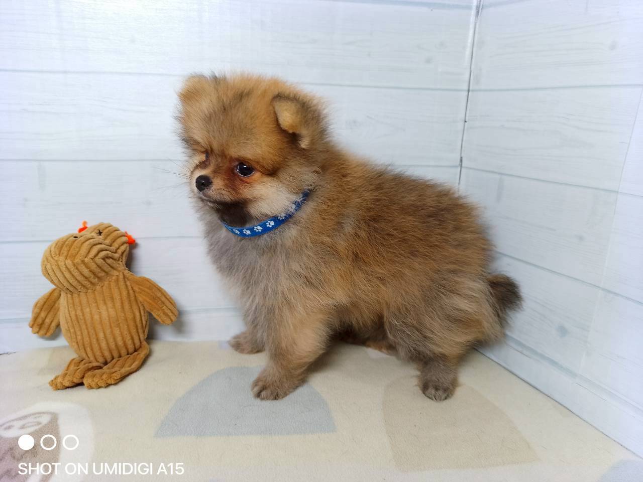 赤ちゃん写真3-2