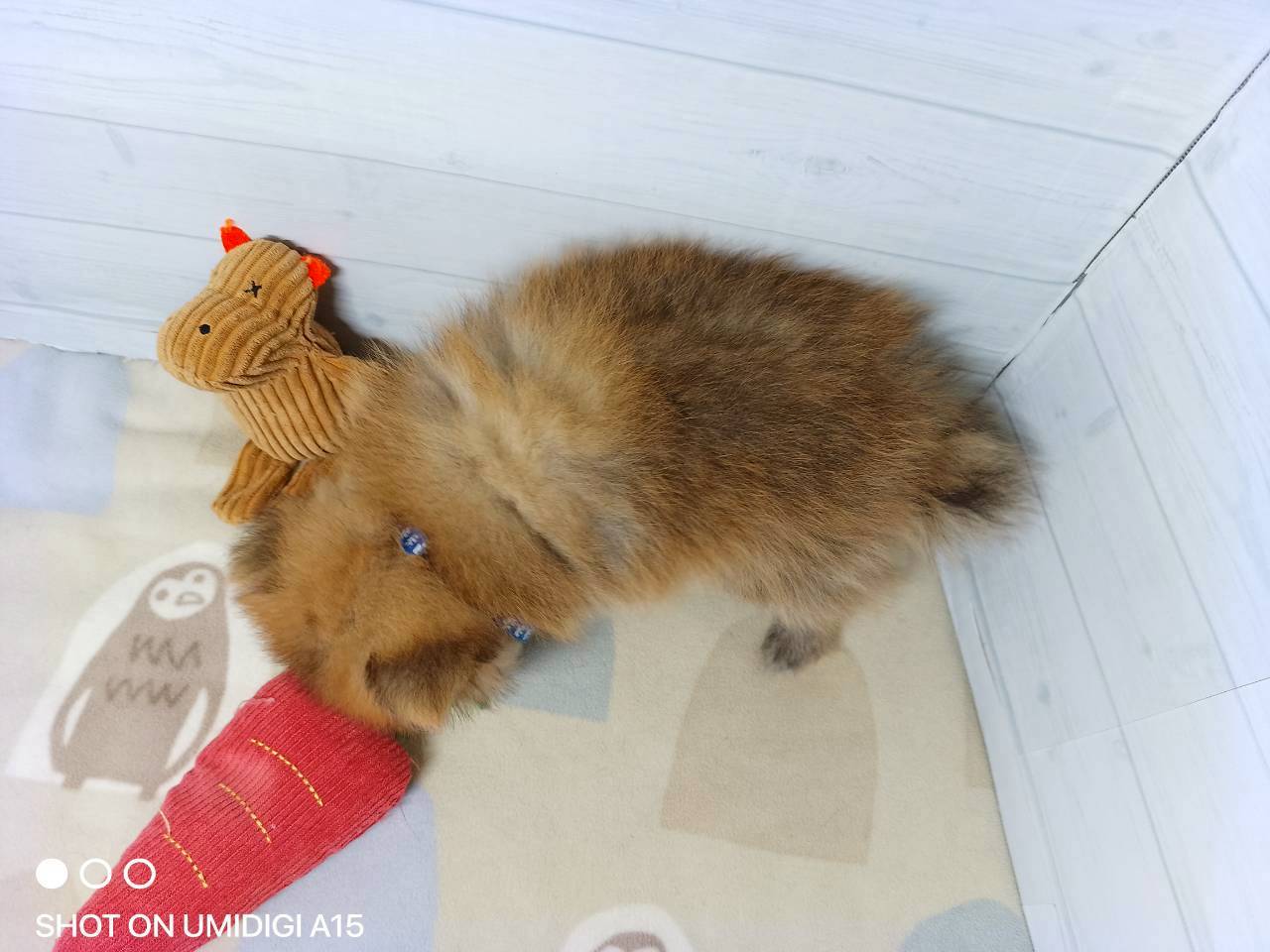 赤ちゃん写真3-3