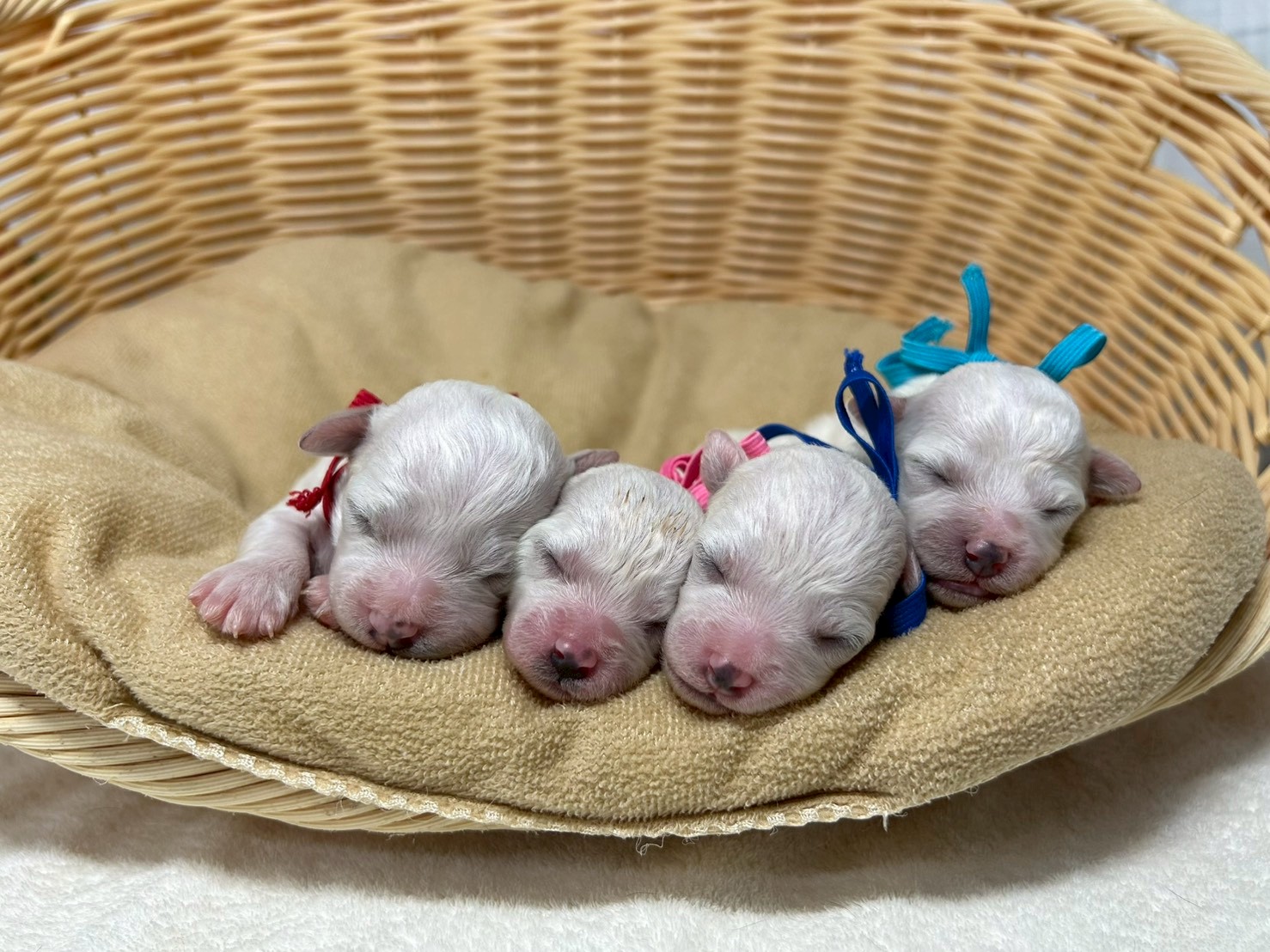 赤ちゃん写真1-3