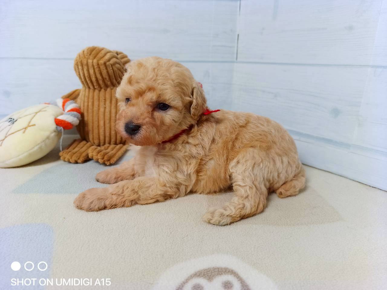 赤ちゃん写真2-2