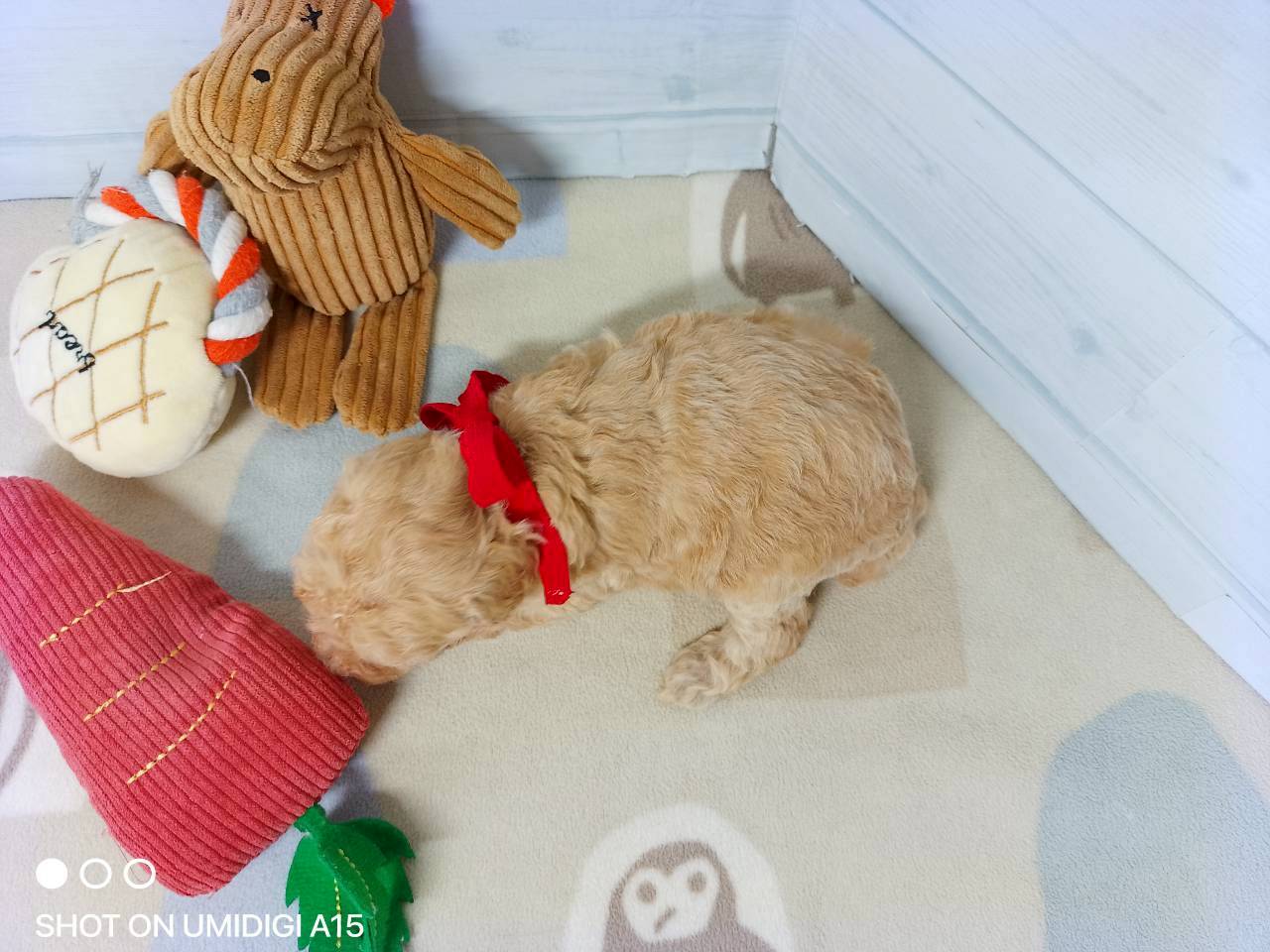 赤ちゃん写真2-3