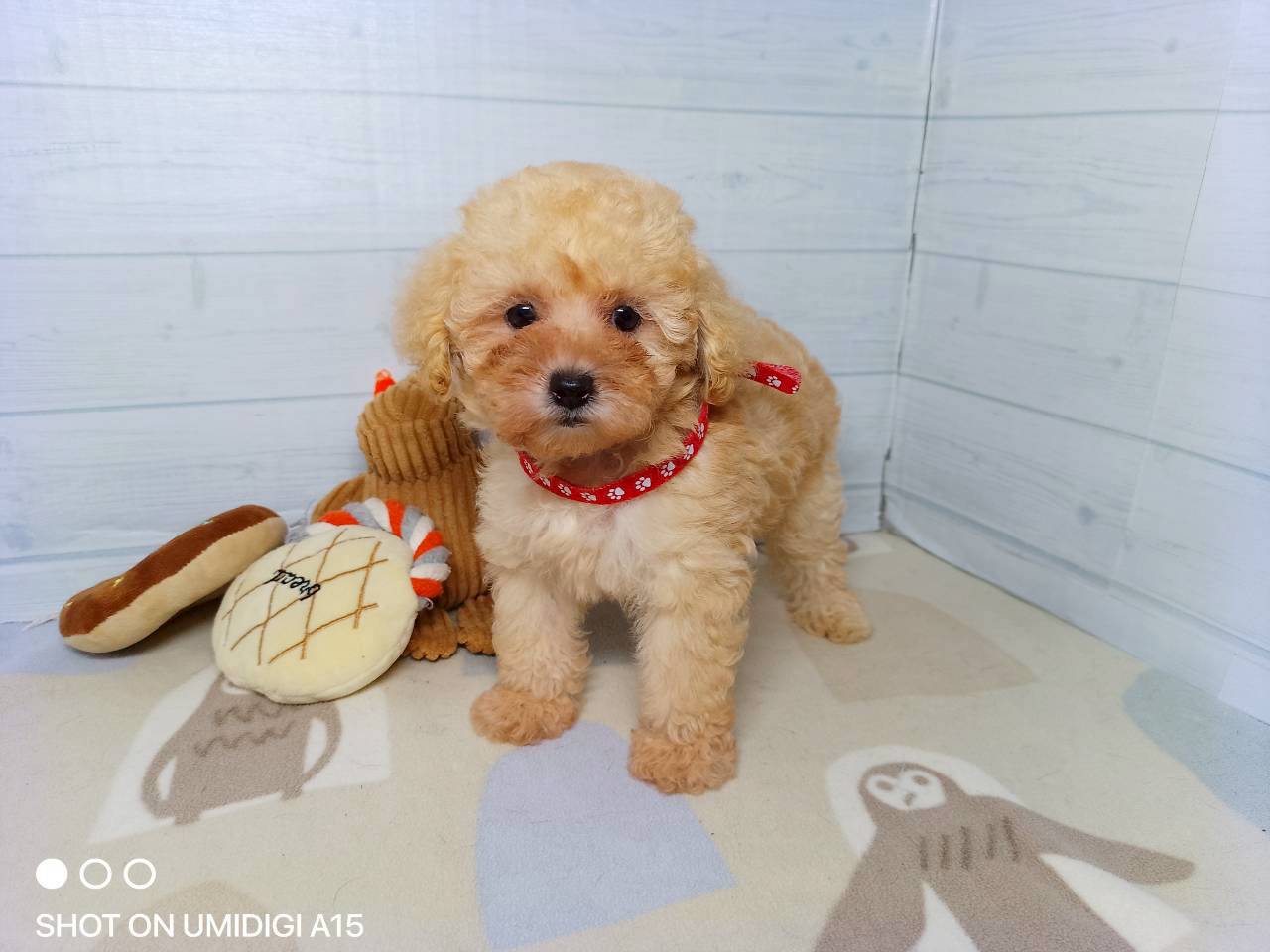 赤ちゃん写真3-1