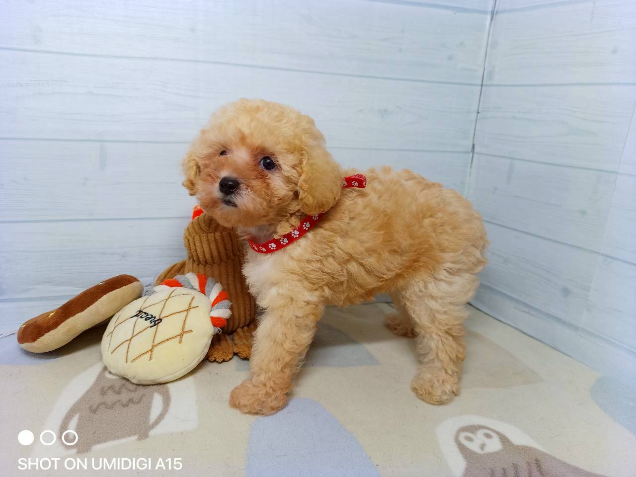 赤ちゃん写真3-2