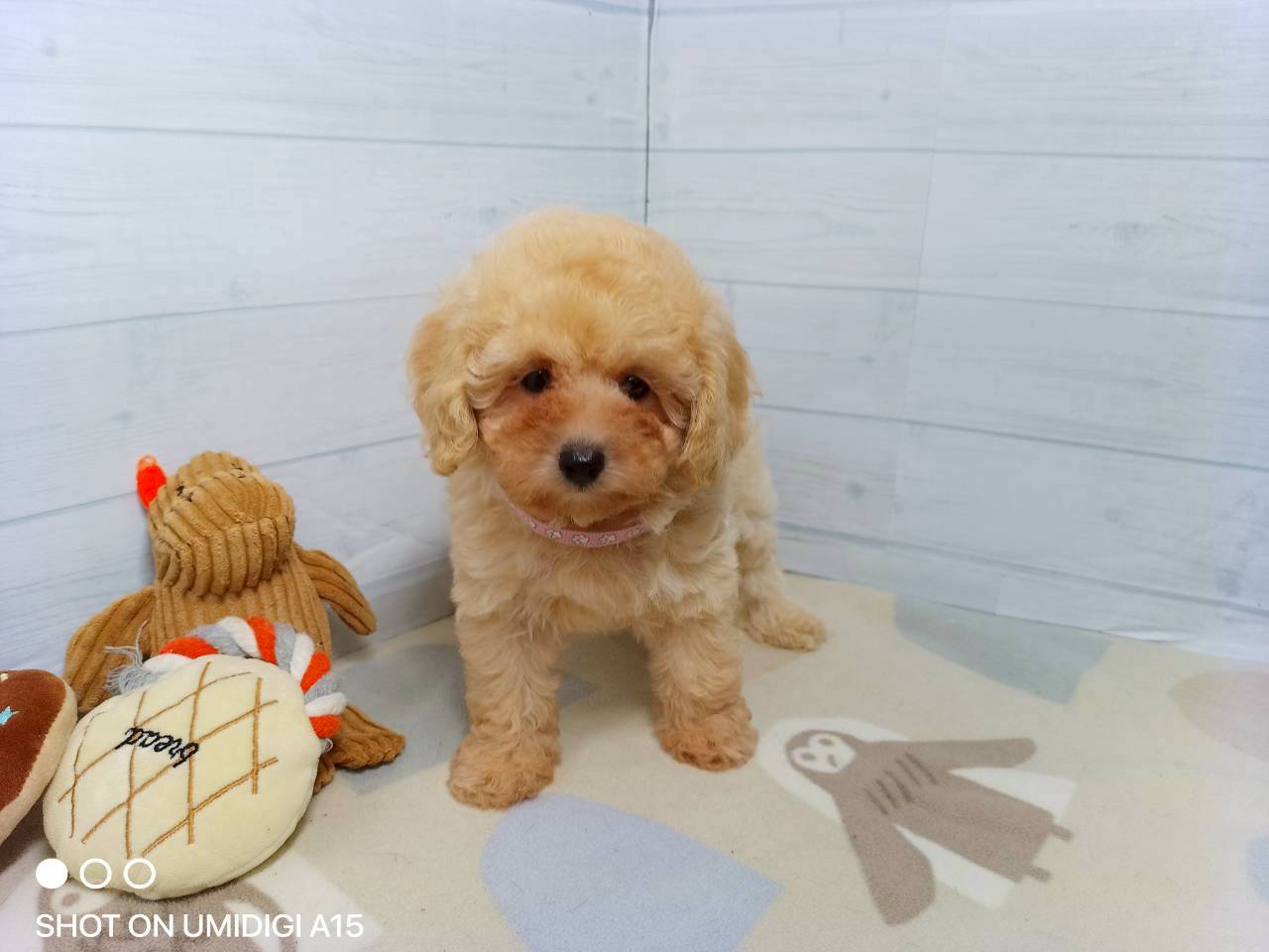 赤ちゃん写真3-1