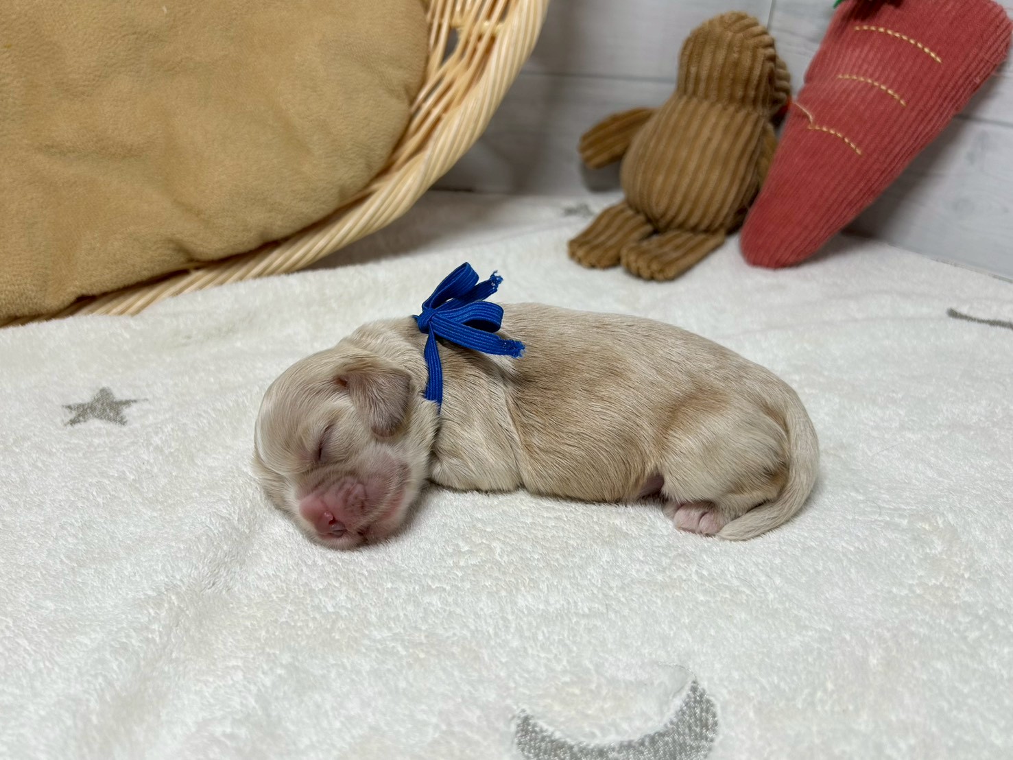 赤ちゃん写真1-2