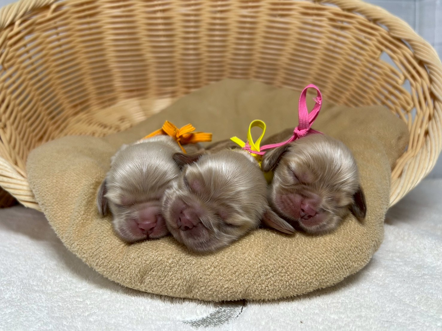赤ちゃん写真1-3