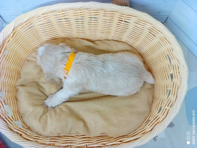赤ちゃん写真2-3
