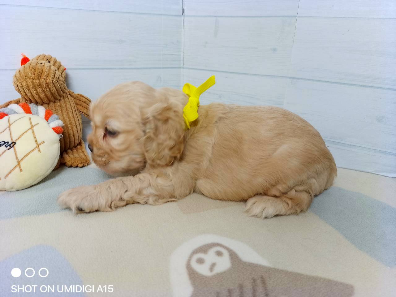赤ちゃん写真2-2