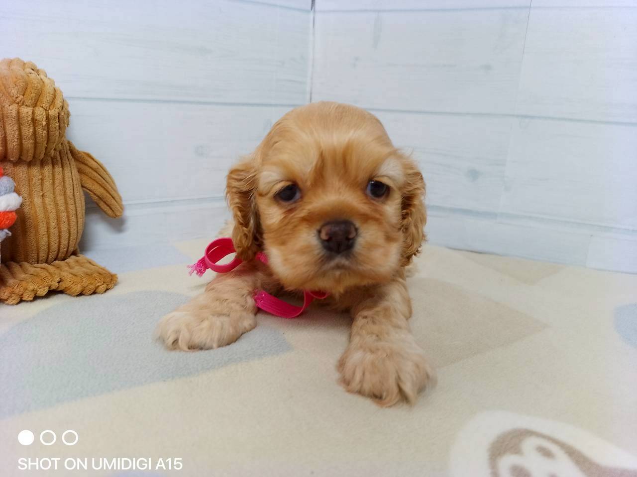 赤ちゃん写真2-1
