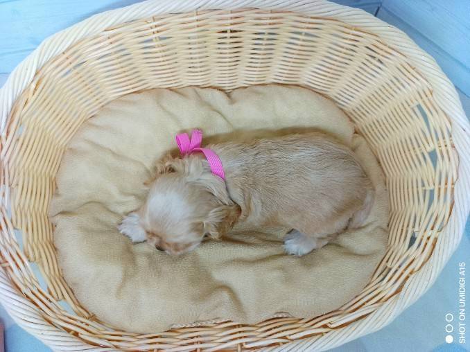 赤ちゃん写真2-3