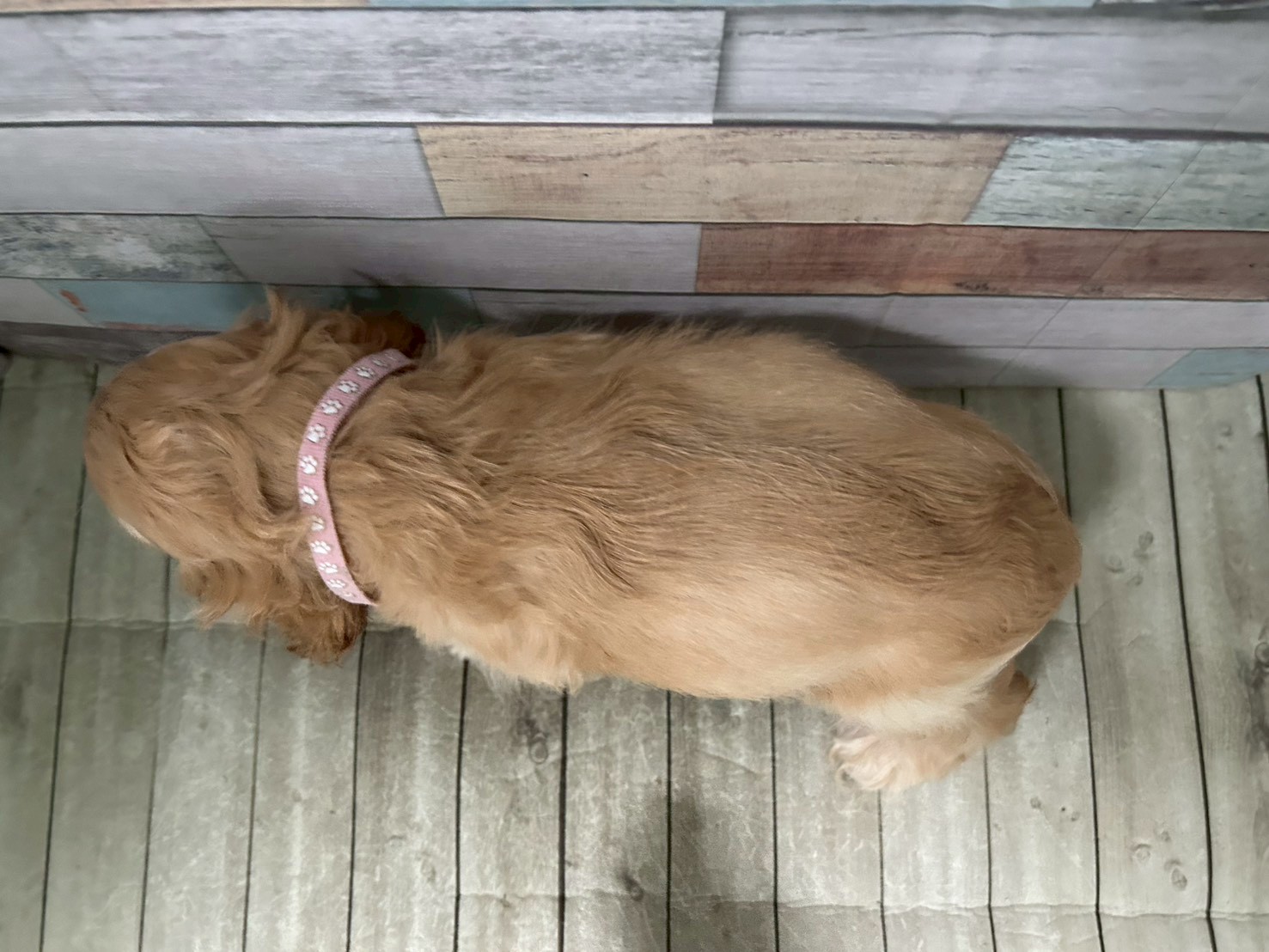 赤ちゃん写真3-3