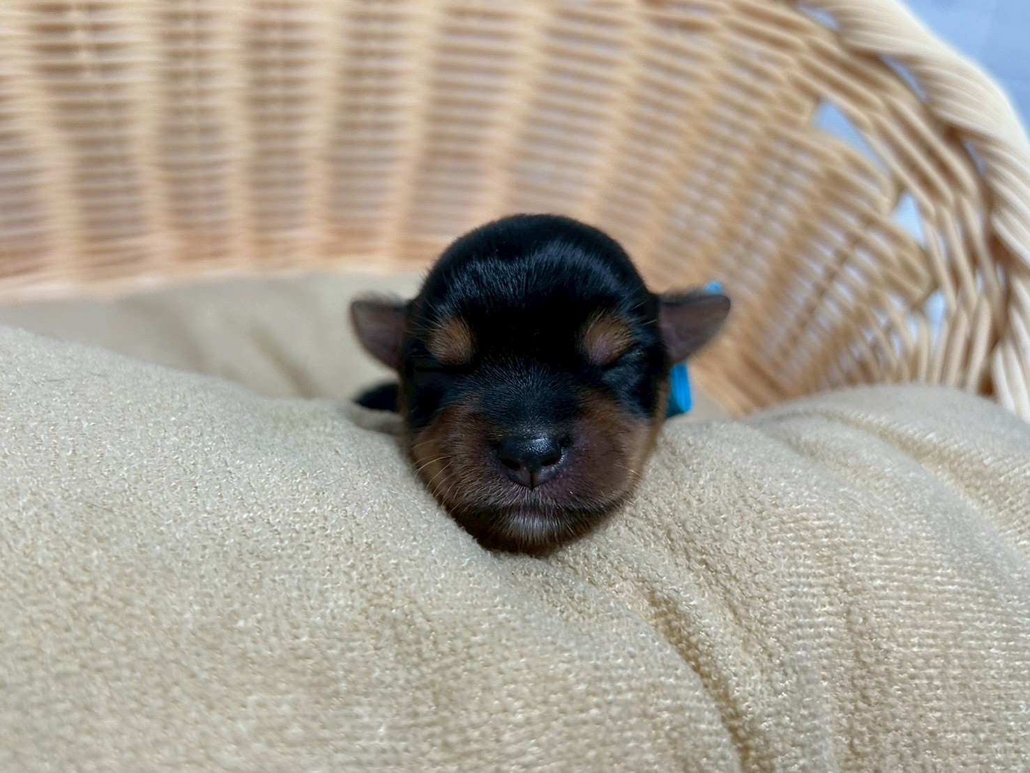 赤ちゃん写真1-1