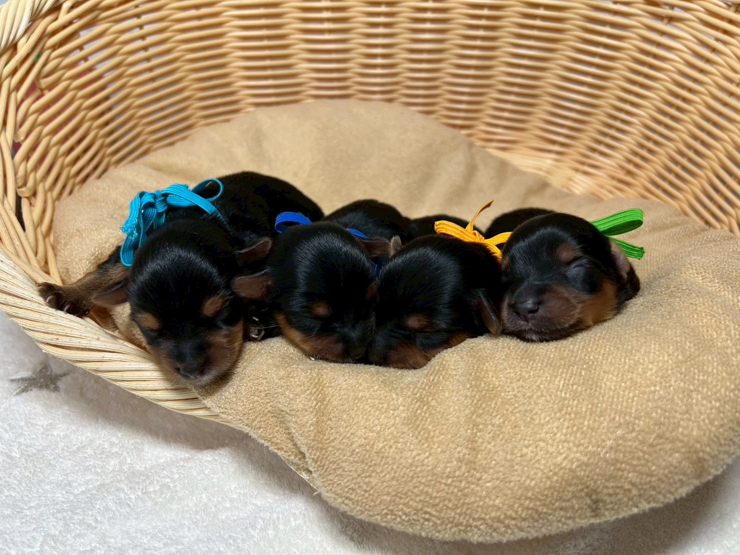 赤ちゃん写真1-3