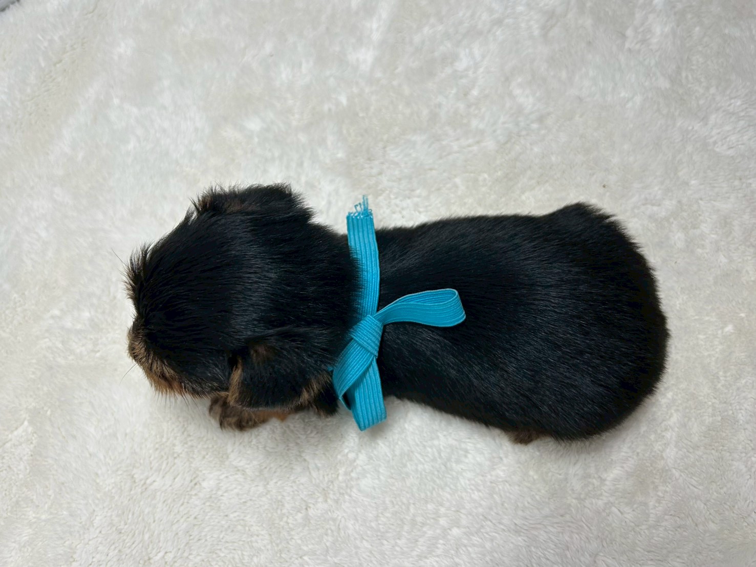 赤ちゃん写真2-3