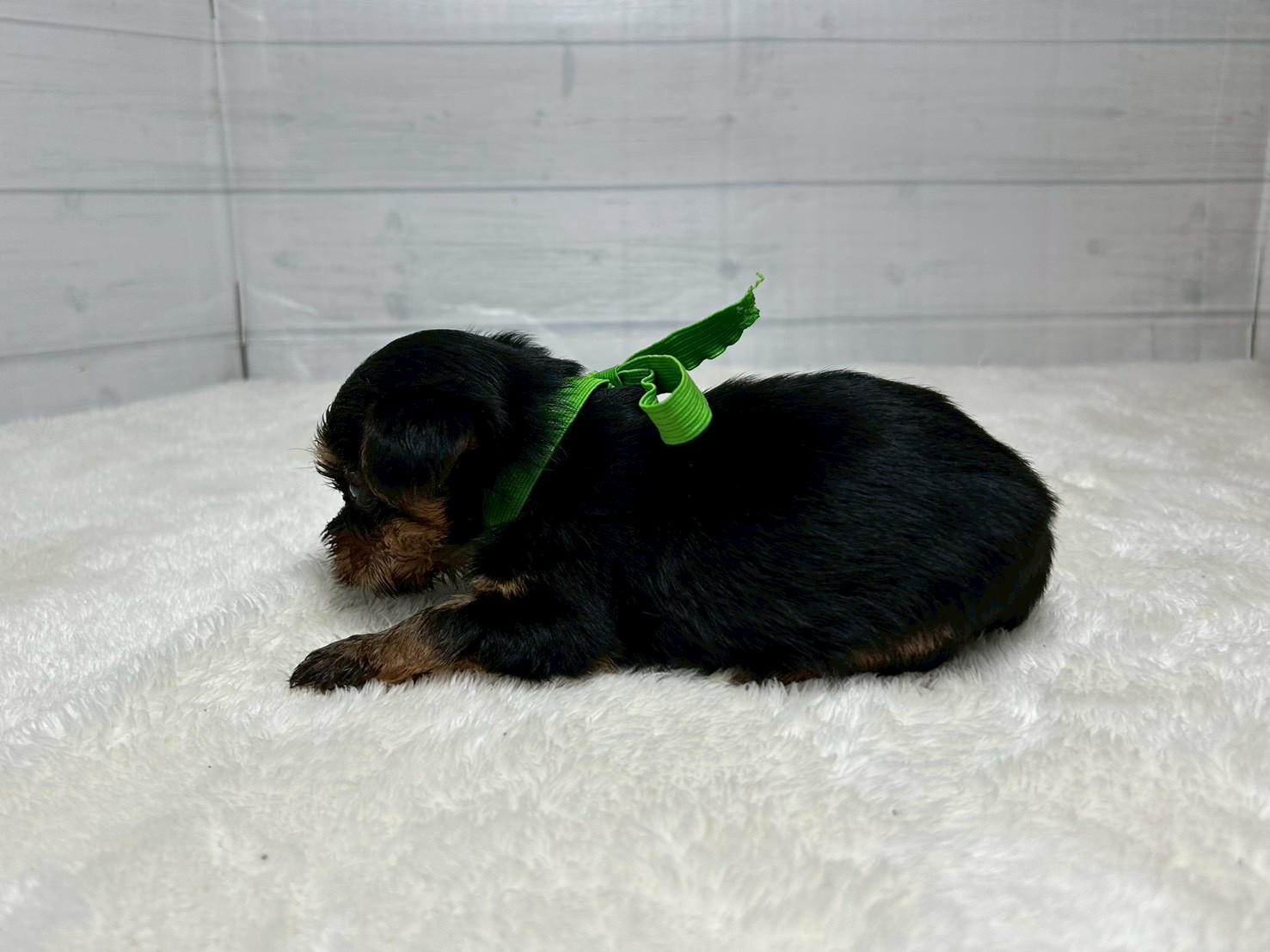 赤ちゃん写真2-2