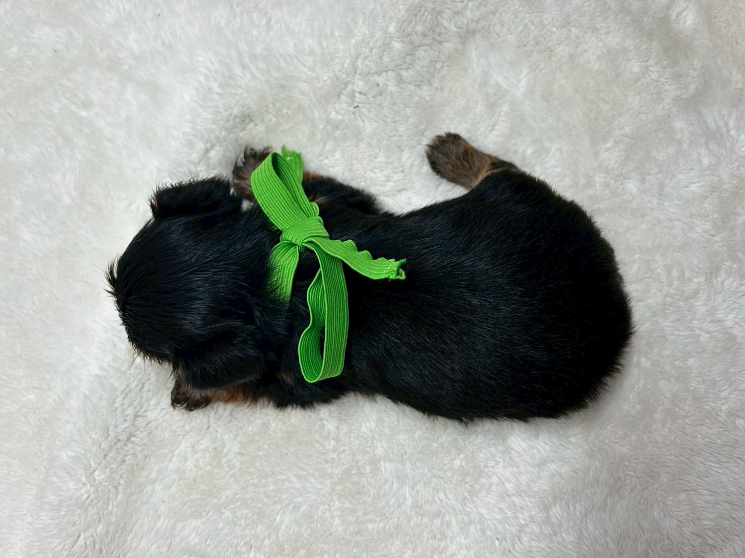 赤ちゃん写真2-3