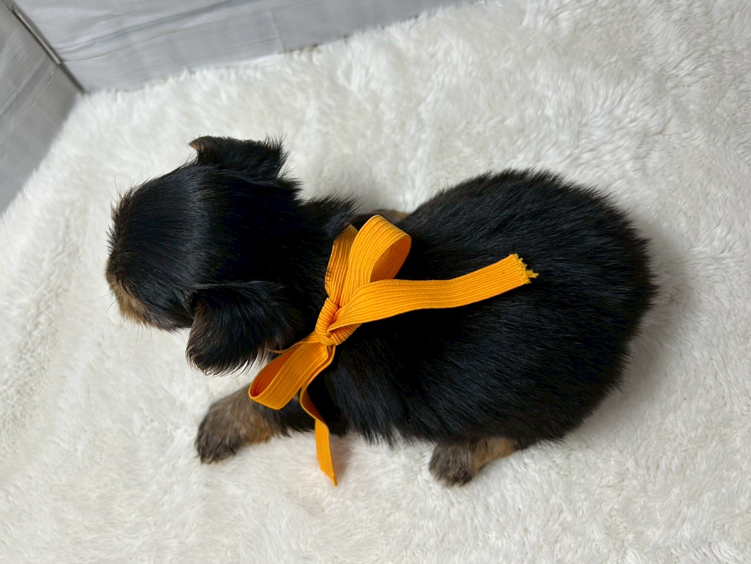 赤ちゃん写真2-3