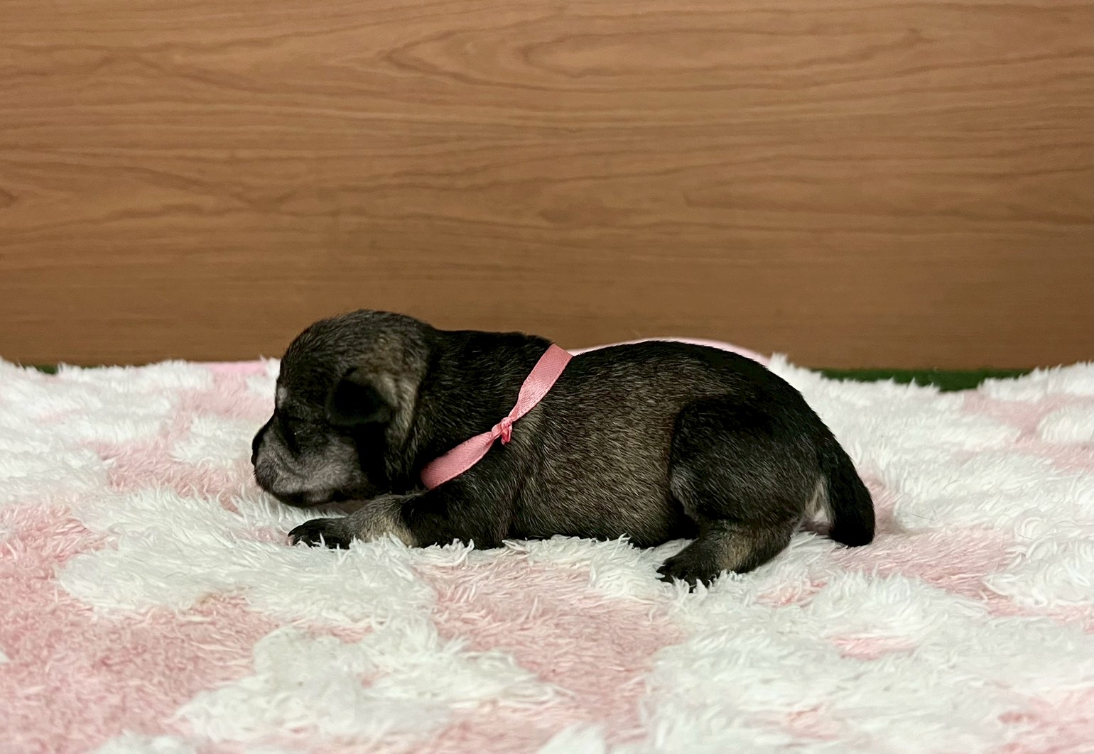 赤ちゃん写真1-2