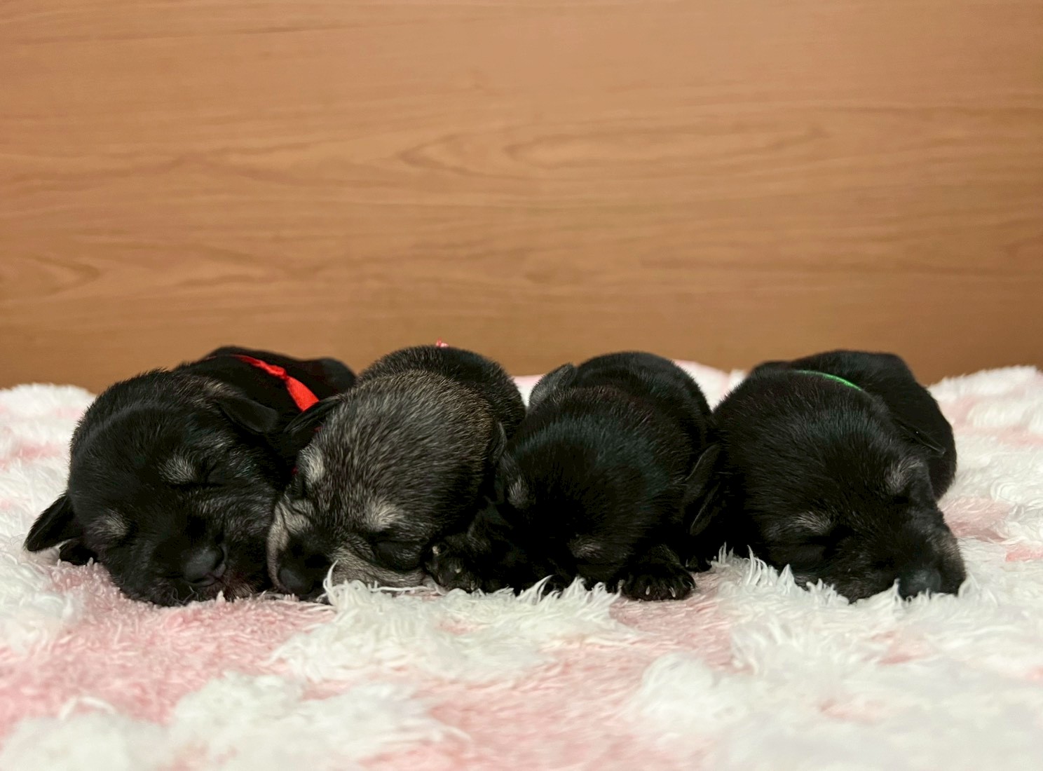 赤ちゃん写真1-3