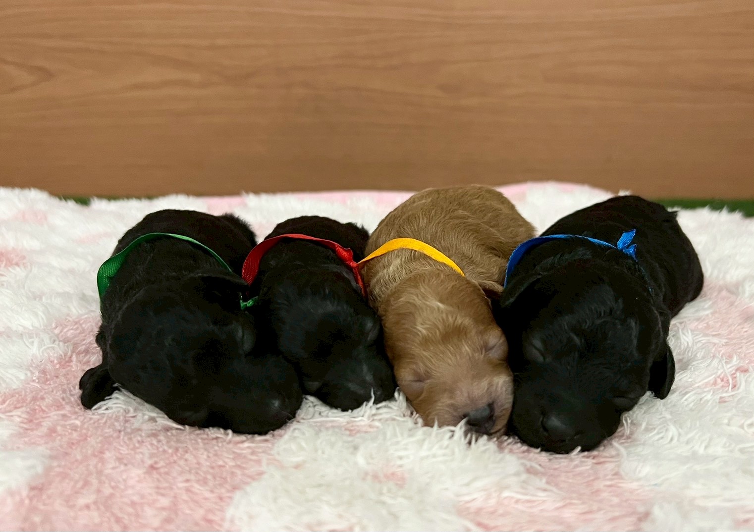 赤ちゃん写真1-3