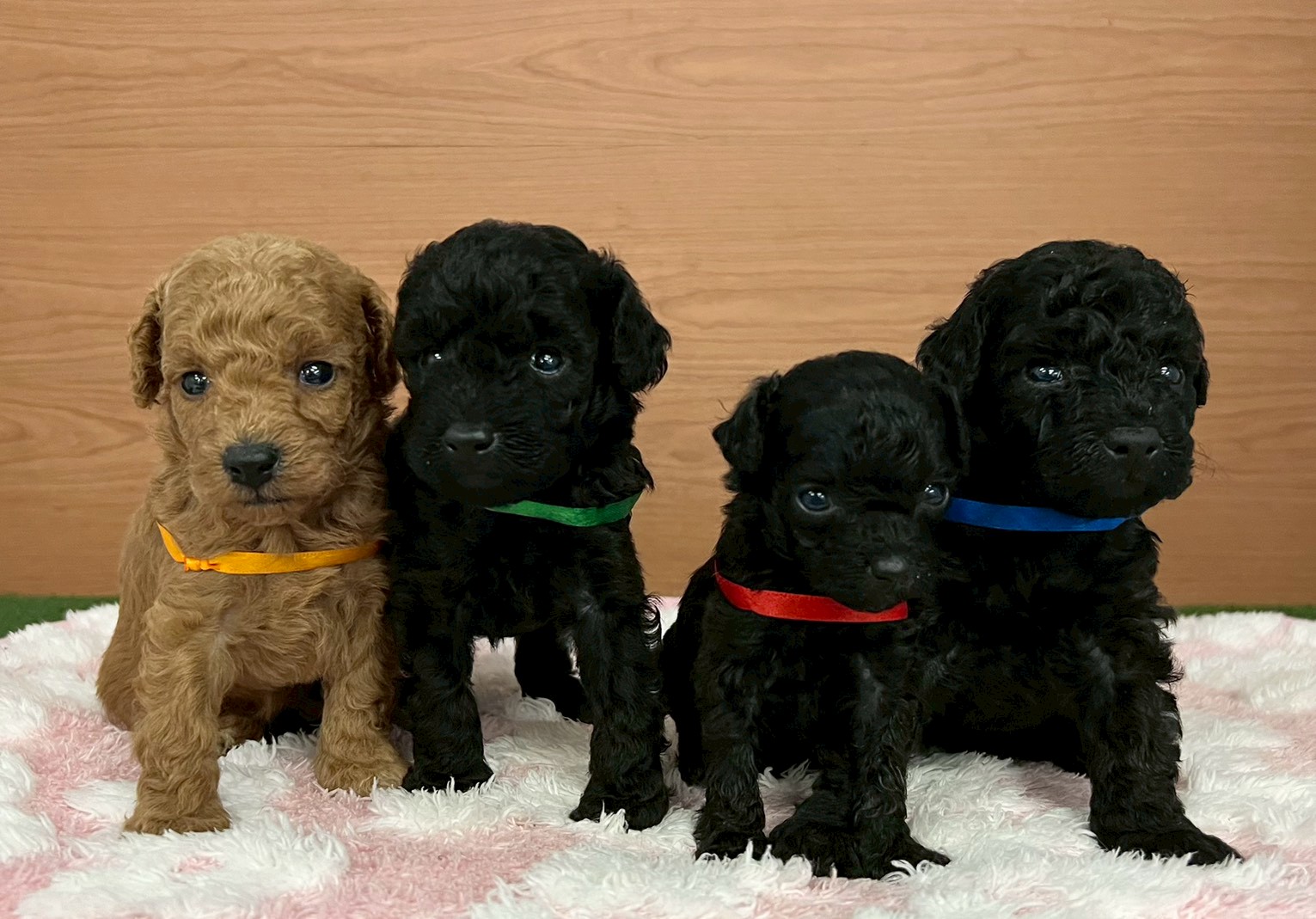 赤ちゃん写真2-3