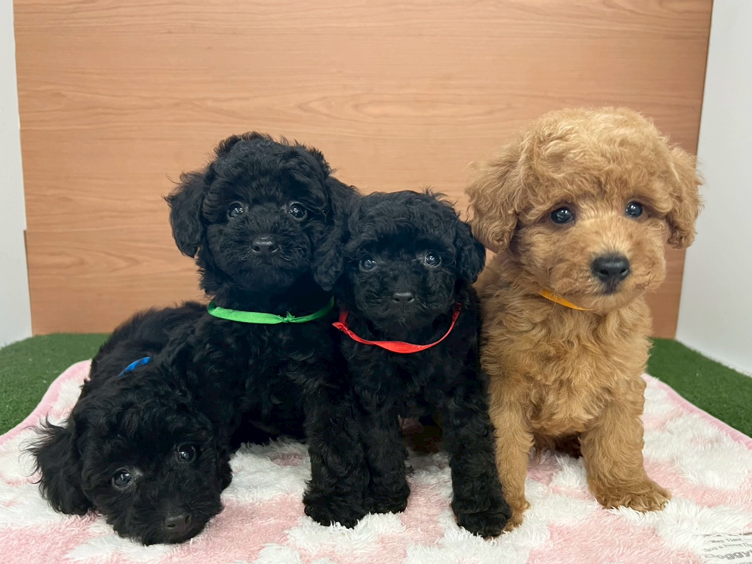 赤ちゃん写真3-3