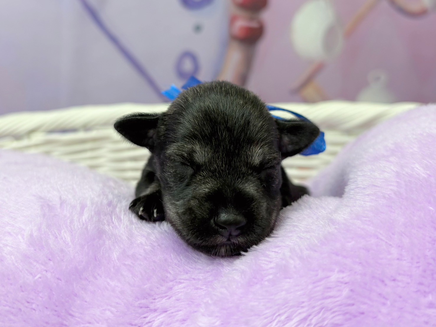 赤ちゃん写真1-1