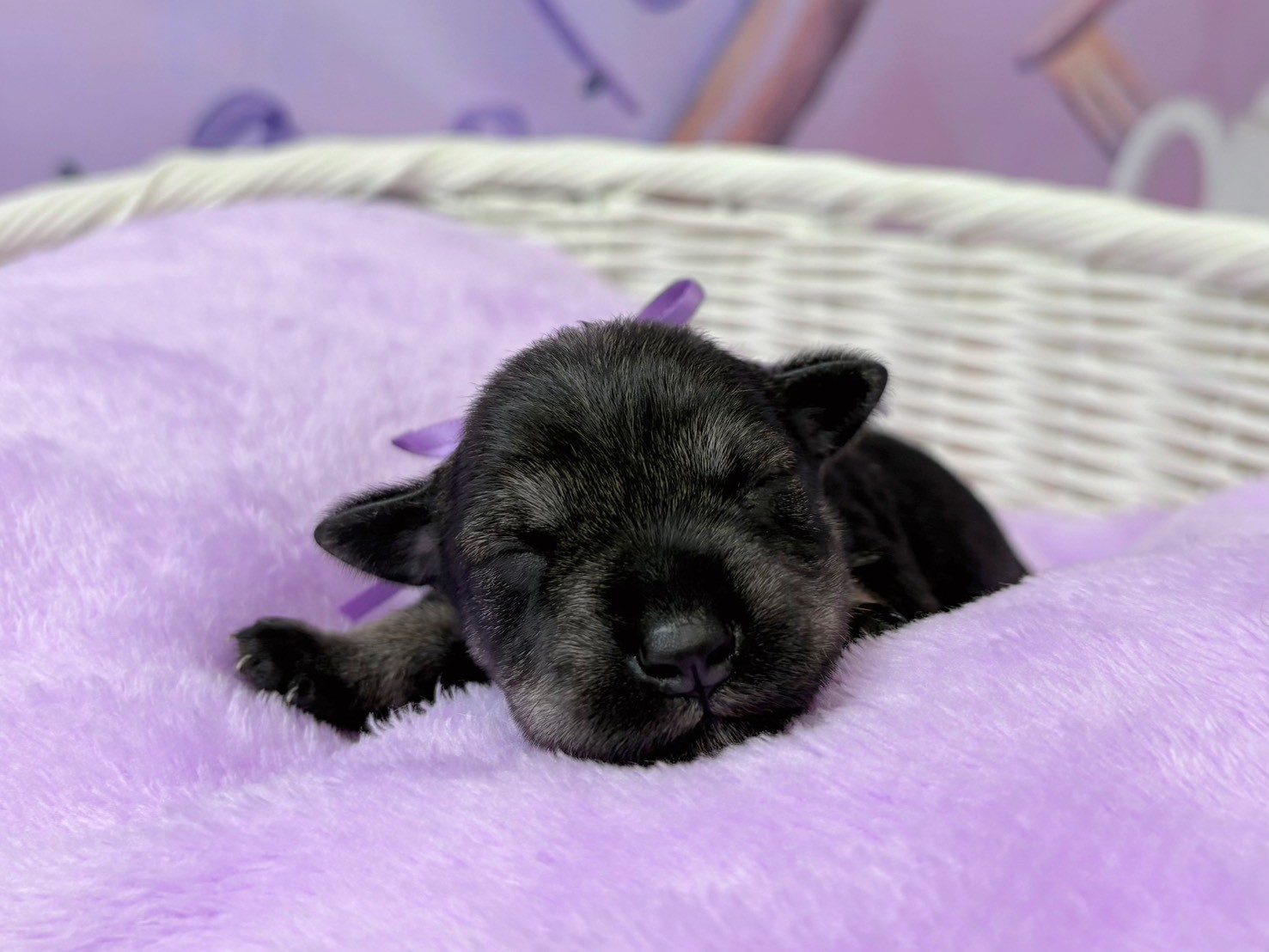 赤ちゃん写真1-1
