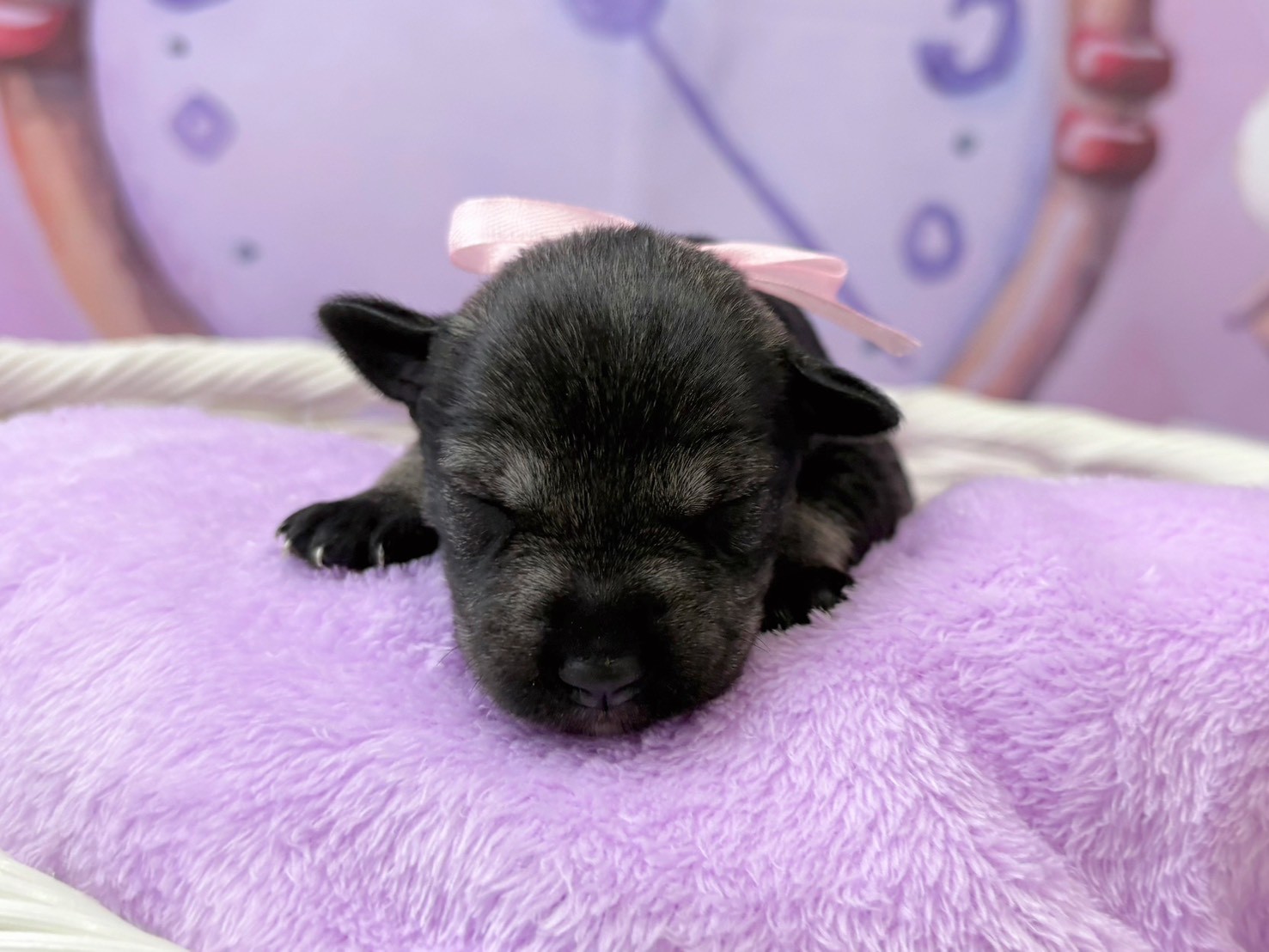 赤ちゃん写真1-1