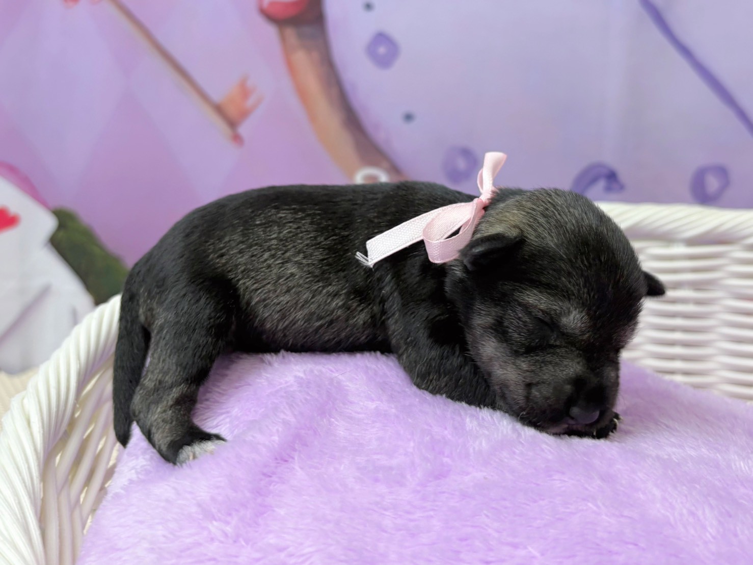 赤ちゃん写真1-2