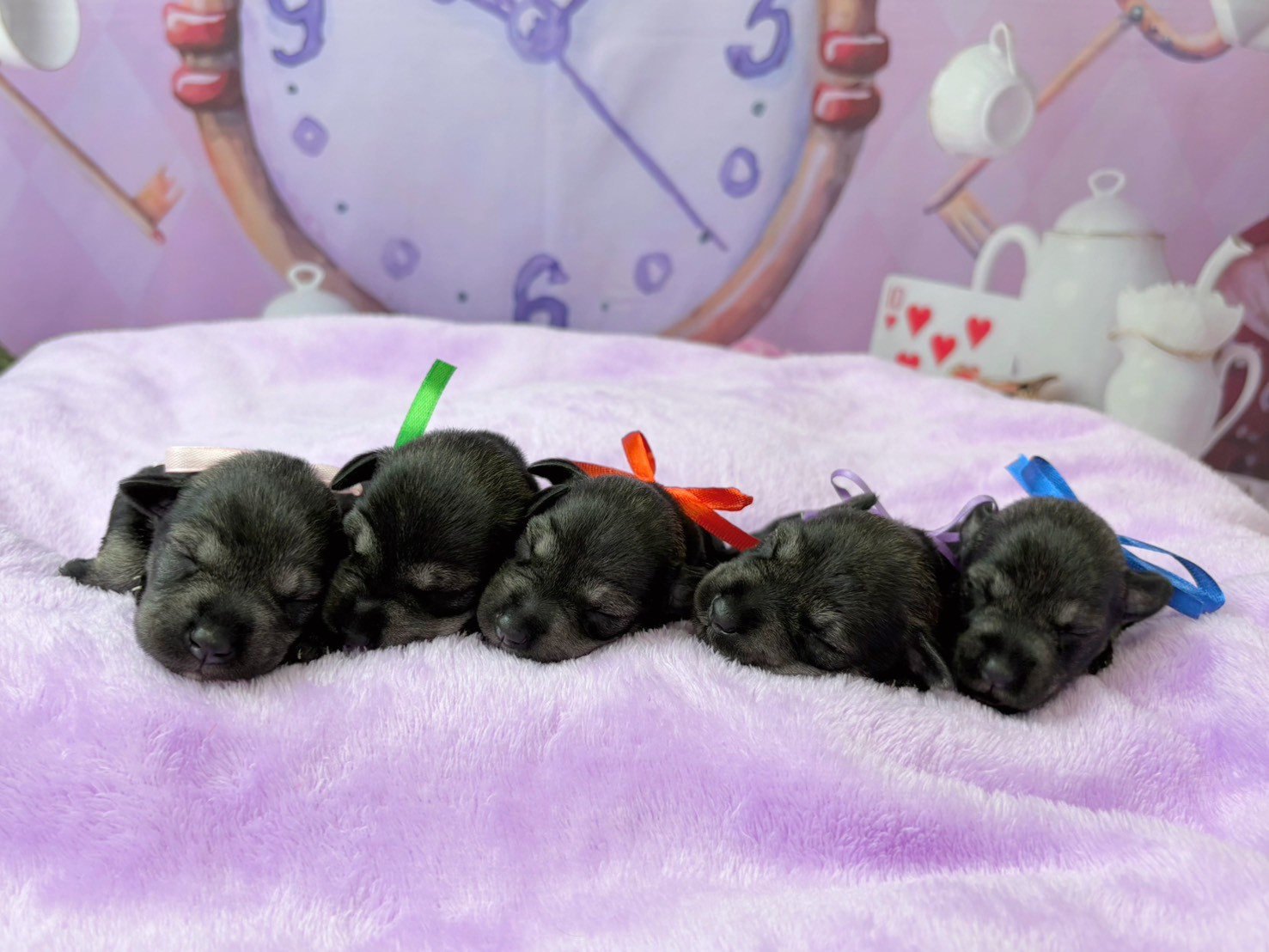 赤ちゃん写真1-3