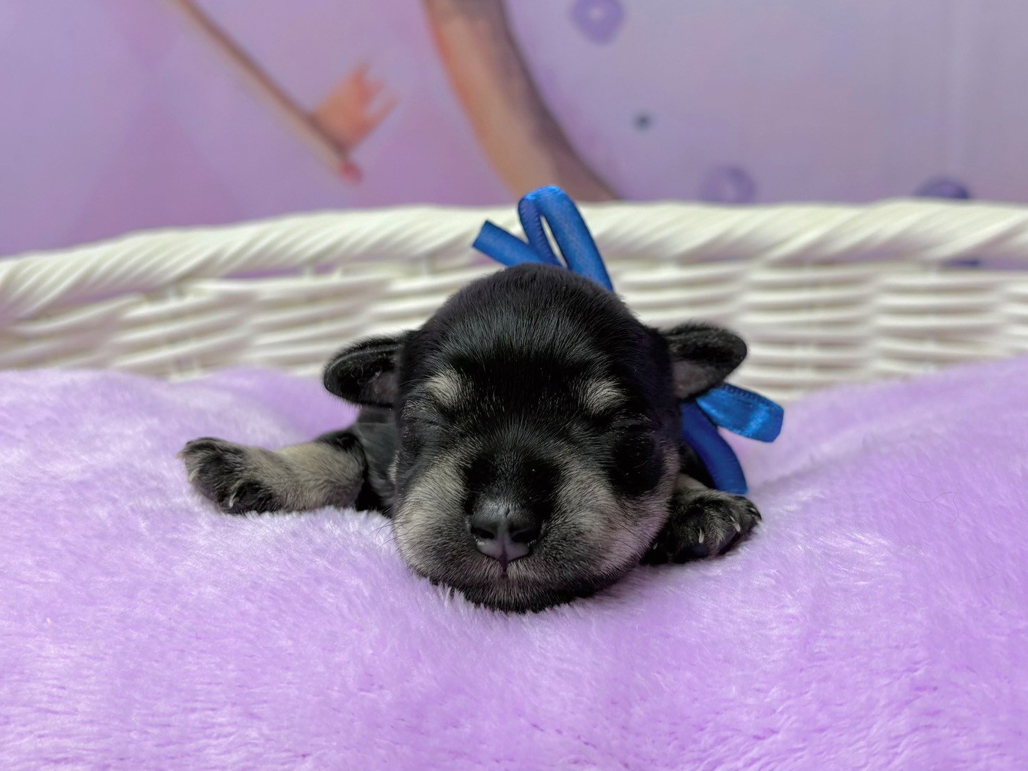 赤ちゃん写真1-1