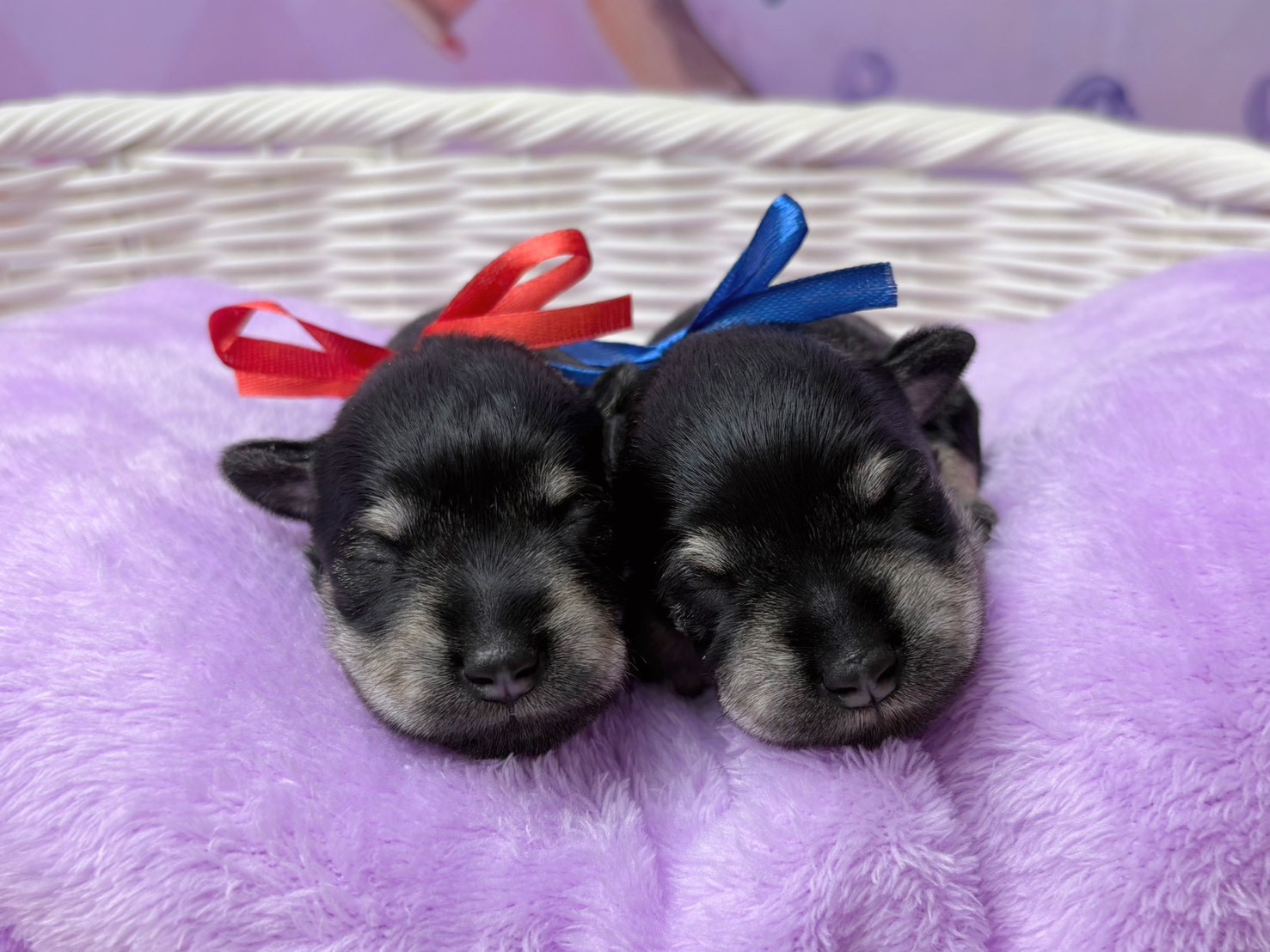 赤ちゃん写真1-3