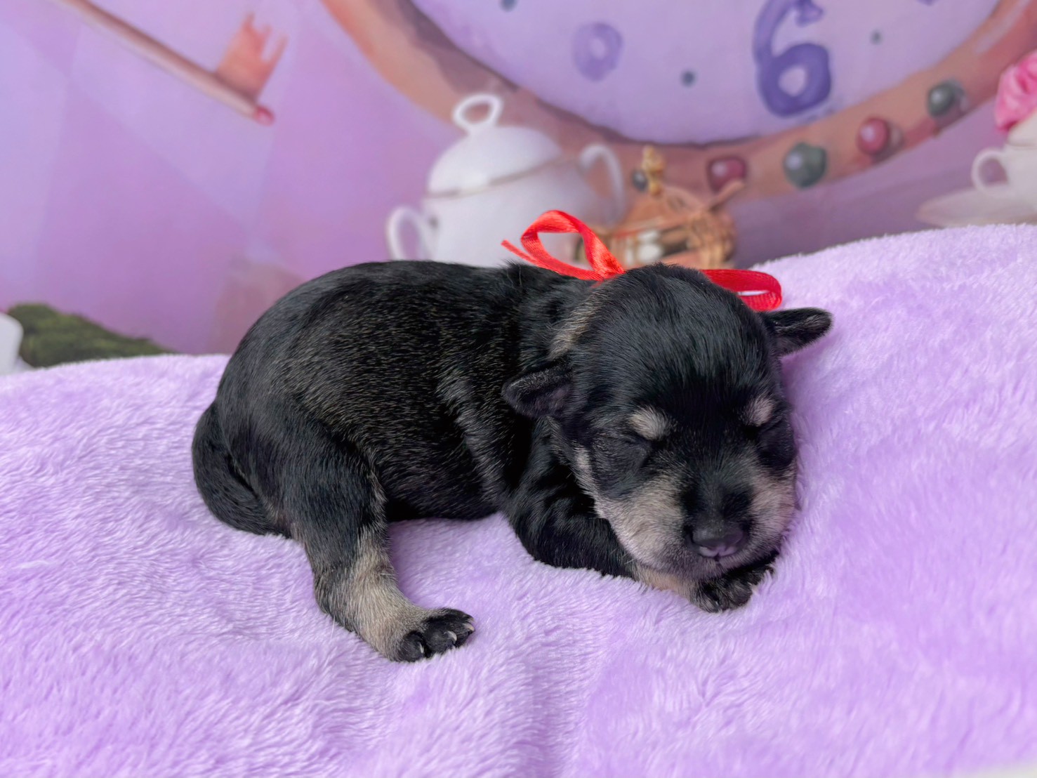 赤ちゃん写真1-2