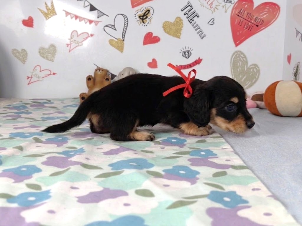 赤ちゃん写真2-2