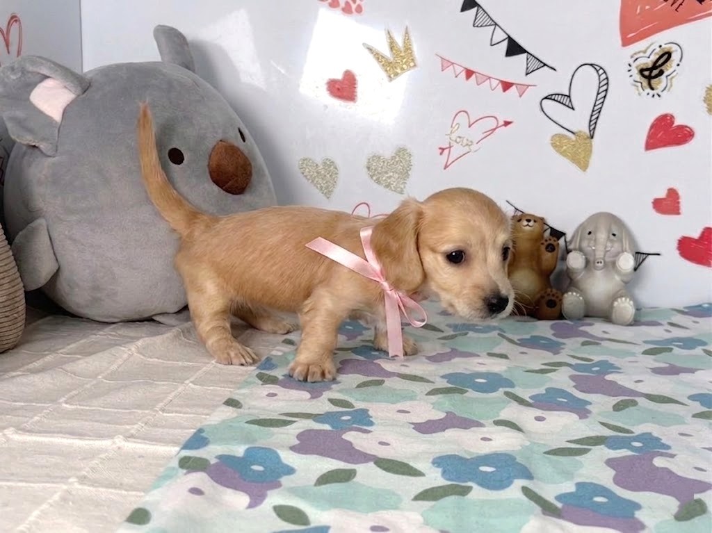 赤ちゃん写真2-2
