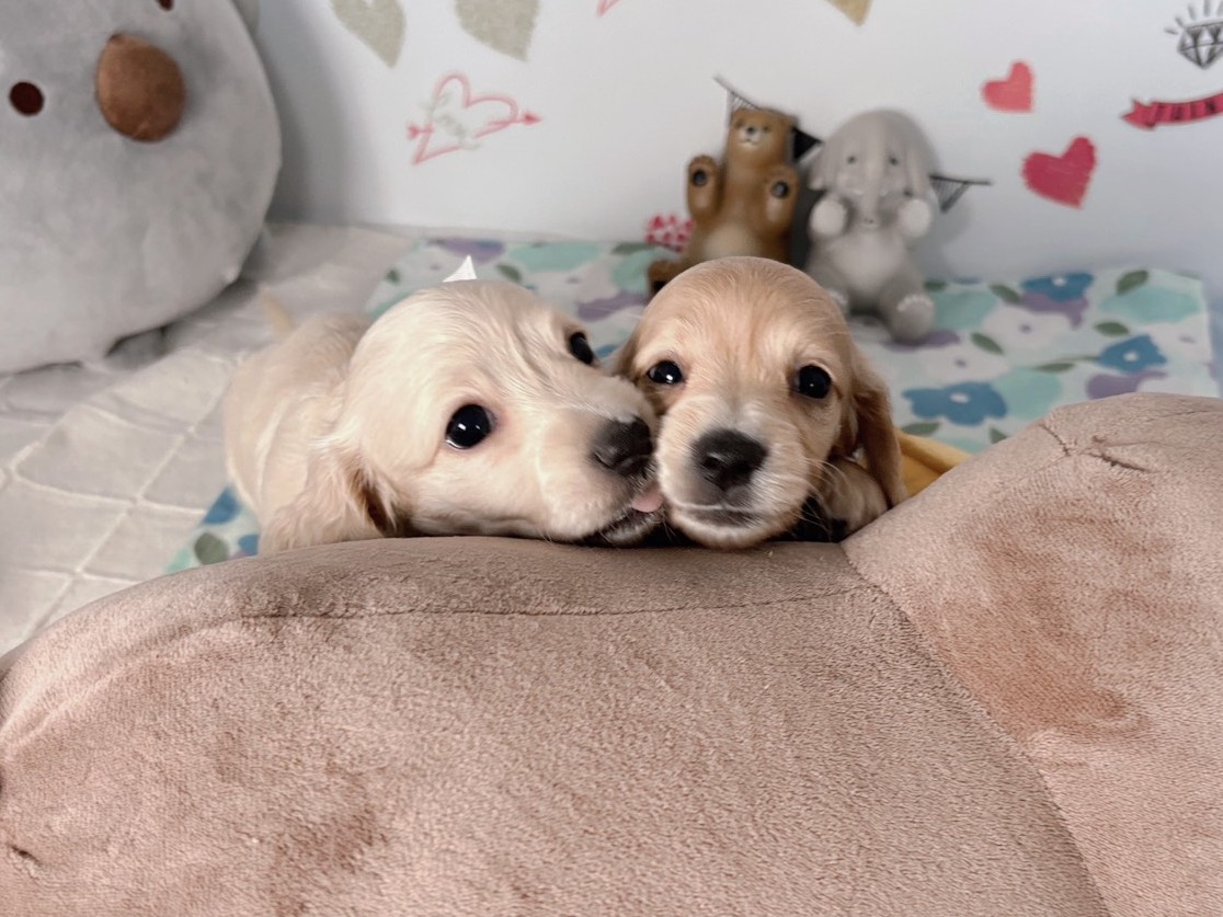 赤ちゃん写真2-3